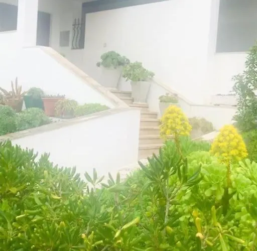 Casinha Do Mar Daire